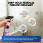 ❄️Just £7.99 | BUY 2 GET 1 FREE!✨Bathroom Limescale & Mould Stain Cleaner – Multi-Surface Spray