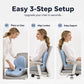 ⏳ LAST DAY SALE 49% OFF!!!🪑 Ergonomic Memory Foam Seat Cushion with Back Support – Stay Comfortable All Day, Perfect for Office, Car & Home ✨