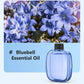 🪻LAST DAY SALE ONLY￡7.99! ✨Automatic Fragrance Spray for Home